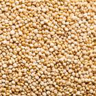Quinoa em Grãos 1kg