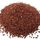 Quinoa Vermelha em Grãos (Granel 500g)