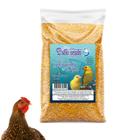 Quirela De Milho Canjica Fina Para Aves Galinha Pitinho Galo Frango Codorna 5Kg