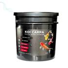 Ração carpa koi balde 3kg zoofish