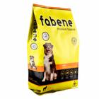 Ração Fabene Cães Adultos - 20kg - PREMIATTA