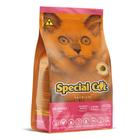 Ração Gatos Special Cat Filhotes 500g
