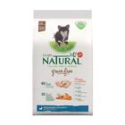 Ração Guabi Natural Grain Free para Cães Adultos de Porte Mini e Pequeno Sabor Frango e Lentilha - 10,1kg