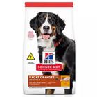 Ração Hills Science Diet Cães Adultos Raças Grandes 12Kg - Hill's