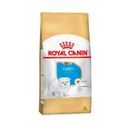 Ração Para Cães Filhotes Maltês Puppy 1kg - Royal Canin