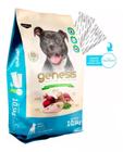 Ração Premiatta Cães Genesis Raças Grandes 40% Proteina - 10,5kg Super Premio Natural