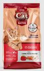 Ração Premium Ray Cat 10KG Sem Corantes - Alinutri nutrição animal
