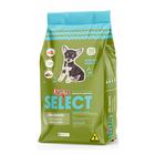 Raçao quatree select caes filhotes 1kg