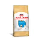 Racao royal canin bulldog frances junior 1kg