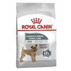 Ração Royal Canin Cuidado Dental para Cães Adultos de Raças Mini - 2,5 Kg