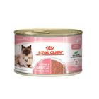 Ração Royal Canin Lata Baby Cat Instinctive para Gatos Filhotes - 195 g