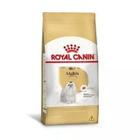 Racao royal canin maltes adulto 2,5kg