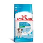 Ração Royal Canin Club Performance Cães Adultos – Agropet