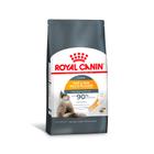 Ração Royal Canin Pele & Pelagem para Gatos Adultos 400 g