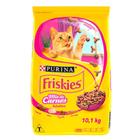 Ração Seca Nestlé Purina Friskies Mix de Carnes para Gatos Adultos - 10,1 Kg