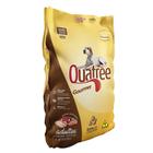 Ração Seca Quatree Gourmet Sem Corantes Cães Adultos Raças Médias e Grandes - 15 Kg