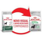 Ração Seca Royal Canin Cuidado Digestivo para Cães Adultos de Raças Mini a partir de 10 meses de idade - 1 Kg