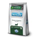 Ração Seca Vet Life Natural Obesity Diabetic para Cães Adultos Obesos ou Diabéticos - 10,1Kg