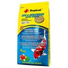 Raçao Tropical Carpa Kinguio Koi & Goldfish Basic Sticks 4Kg