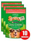 Ração umida Dog Chow cães adultos frango sache 100g 5 unidades