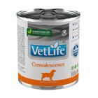 Ração Úmida para Cães Farmina Vet Life Convalescence 300g