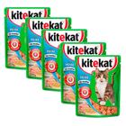 Ração Úmida para Gatos KiteKat Adulto Sabor Peixe ao Molho em Sachê 70g Kit com cinco unidades
