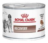Ração Úmida Royal Canin Veterinary Diet Recovery Cães e Gatos 195g