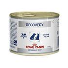Racao umida royal canin veterinary recovery 195g