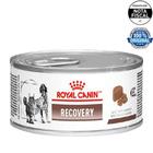 Ração Úmida Royal Canin Veterinary Recovery Cães e Gatos 195g