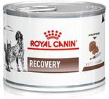 Ração Úmida Royal Canin Veterinary Recovery Cães e Gatos 195g