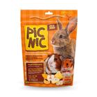 Ração Zootekna Pic Nic Mix de Frutas para Roedores 500g