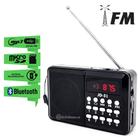 Rádio FM Portátil Digital Bluetooth, MP3, Entrada Pendrive e Cartão Bateria Recarregável JD31PR