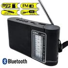 Rádio Portátil 3 Faixas Com Bluetooth Pendrive P2 Preto - Lelong