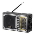 Radio Portatil Ecopower EP-F230B - AM/FM - USB/SD - Bluetooth - Recarregavel