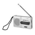 Rádio Sanpyl Small Portable AM FM Transistor Radio Silver