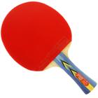 Raquete Ping-Pong Tênis de Mesa DHS 3002 3 Estrelas Clássica