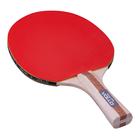 Raquete Ping Pong Tênis de Mesa Energy 1000 ITTF Jogadores Avançados Vollo