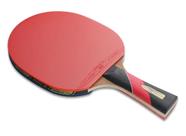 Mesa de Tênis de Mesa Ping Pong Olimpic 1005 MDP 15mm com Kit Completo - Ping  Pong - Magazine Luiza