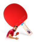 Raquete Tênis Mesa 3 estrelas Taichi Giant Dragon ITTF