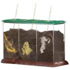 Recipiente de Compostagem Educacional See-Through STEM - Brinquedo Educativo