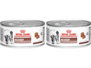Recovery 195g - Royal Canin - 2 Unidades