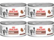 Recovery 195g - Royal Canin - 4 Unidades