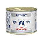 Recovery Royal Canin Veterinary Ração Lata Cães e Gatos 195 g - 1 unidade