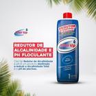 Redutor de Alcalinidade e pH Floculante 1lt - Clor Up