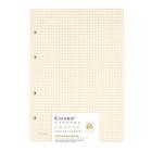 Refil Caderno Cicero Argolado 40fls Polen 80g 17x24 Quadriculado