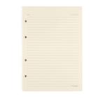 Refil Caderno Criativo Argolado Cicero Pólen Pautado 17x24cm 80g/m² Com 40 Folhas