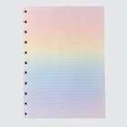 Refil Caderno Disco Grande Inteligente Rainbow-120g-11 Furos