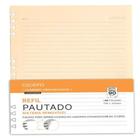 Refil caderno organizador 40 fls polen 90g pautado 17x24 cicero