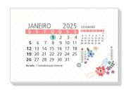 Refil calendário de mesa colorido - Fina Ideia