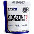 Refil Creatina Mono-hidratada Power 300g - Profit Labs - PROFIT LABORATÓRIO